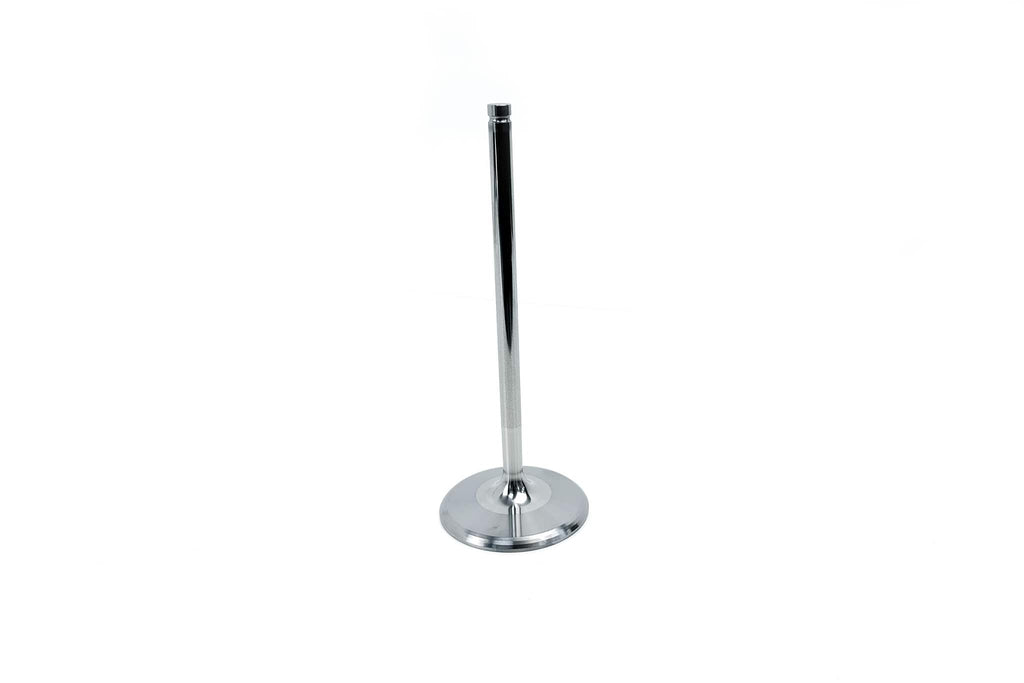Titanium Engine Valves