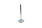 Titanium Engine Valves