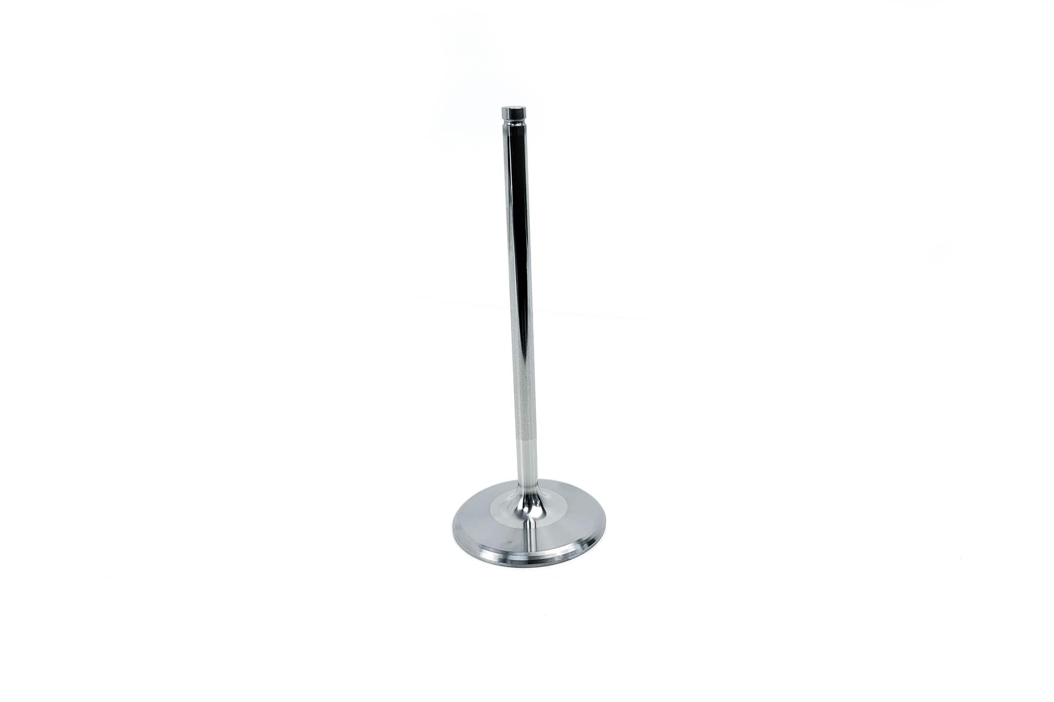 Titanium Engine Valves